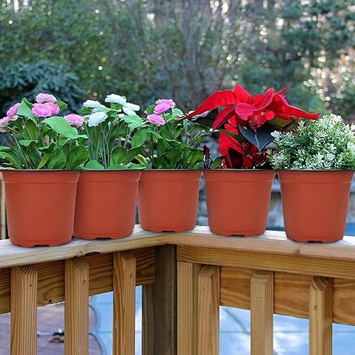 Miniatura 9 de GROWNEER Paquete de 120 macetas de plástico de 6 pulgadas, 60 paquetes de macetas de plástico de 4 pulgadas con 30 etiquetas para plantas,