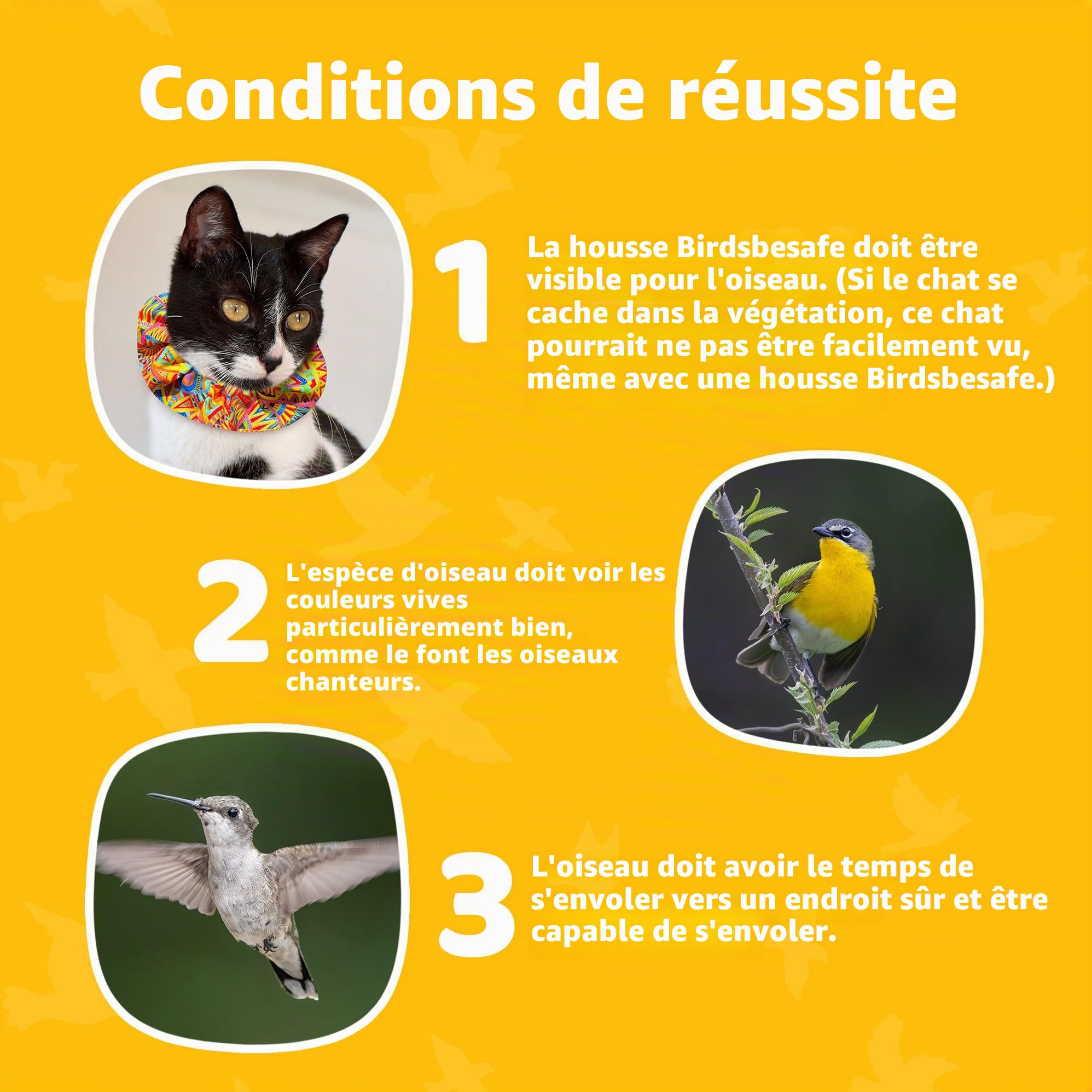 Birdsbesafe Collier pour Chat pour Oiseaux – Collier d'avertissement pour Chat, scientifiquement prouvé pour Aider à empêcher Votre Chat d'attraper des Oiseaux