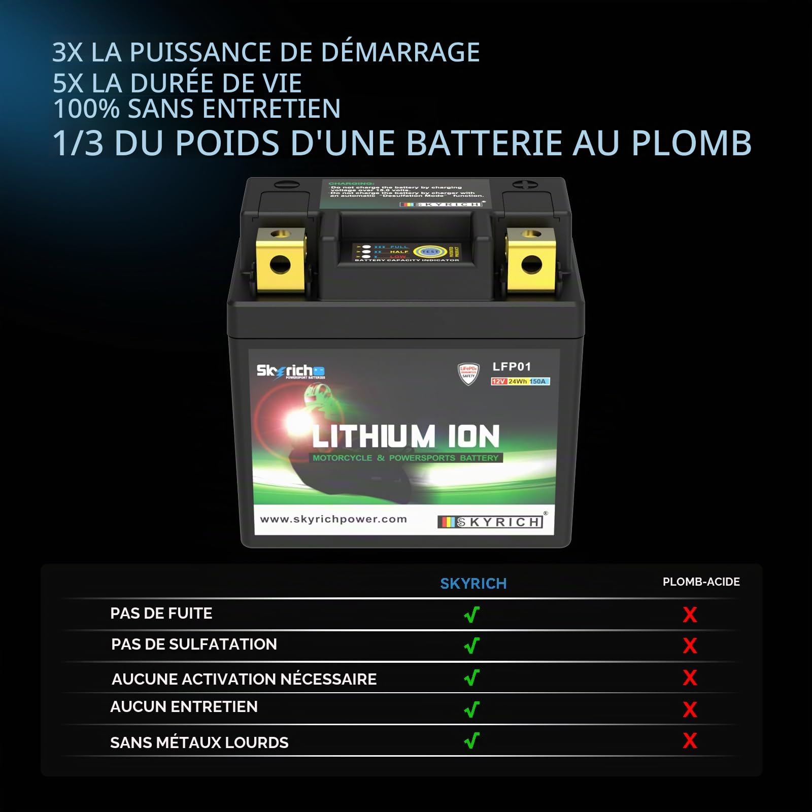 Batterie Skyrich Lithium LFP01