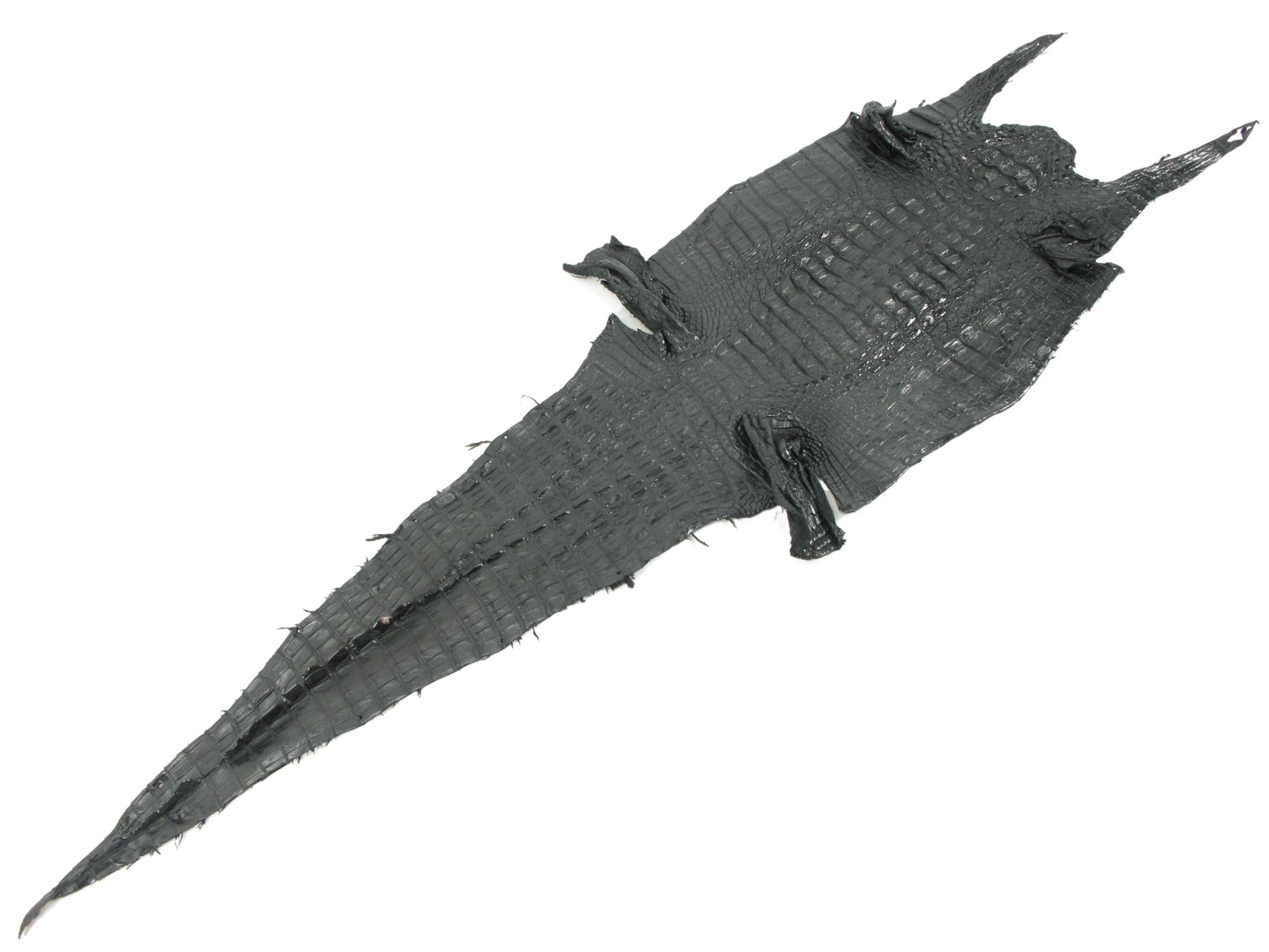 Amazon.com: PELGIO Genuine Crocodile Caiman Hornback Skin Leather