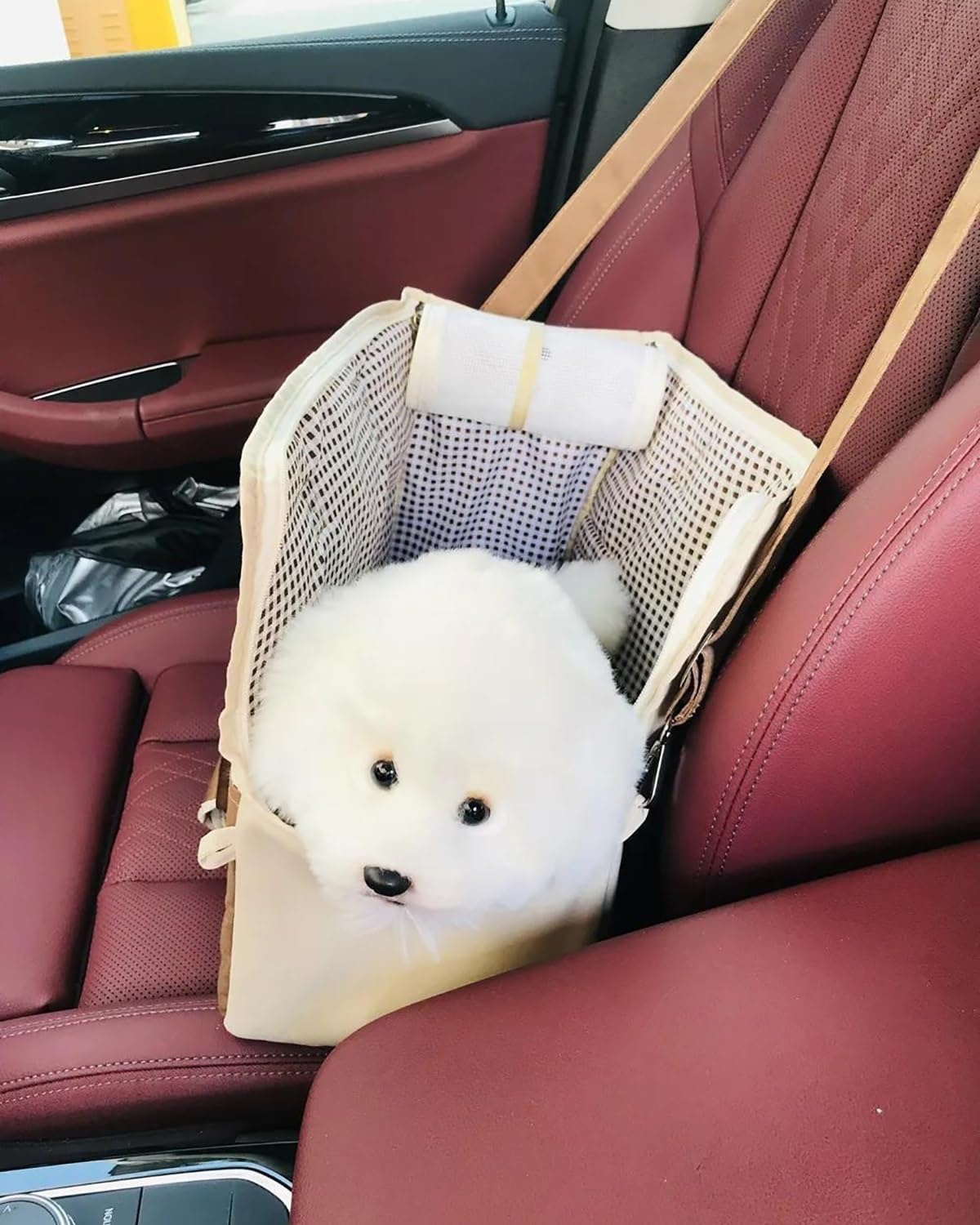 Hundesitze für Autos, Hundeautositz-Haustierträger for Katzen Hund Polyethylenschaum Baumwolle Zwischenschicht Hundeträger Katzenträger Auto(Blue)
