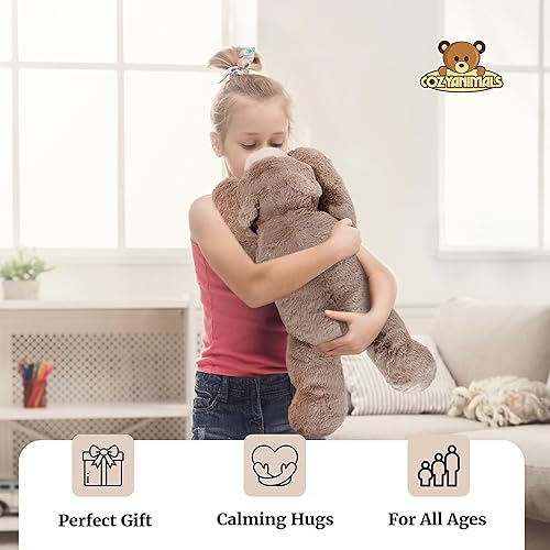 Miniatura 4 de COZYANIMALS - Oso de peluche con peso de 3.5 libras y 20 pulgadas, juguete de almohada de felpa para adultos, adolescentes, niños, Warmies aptos