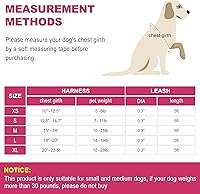 Vista 7 de Arnés para perro con correa, arnés reflectante ajustable sin tirones con chaleco acolchado grueso para perros extrapequeñospequeños y medianos
