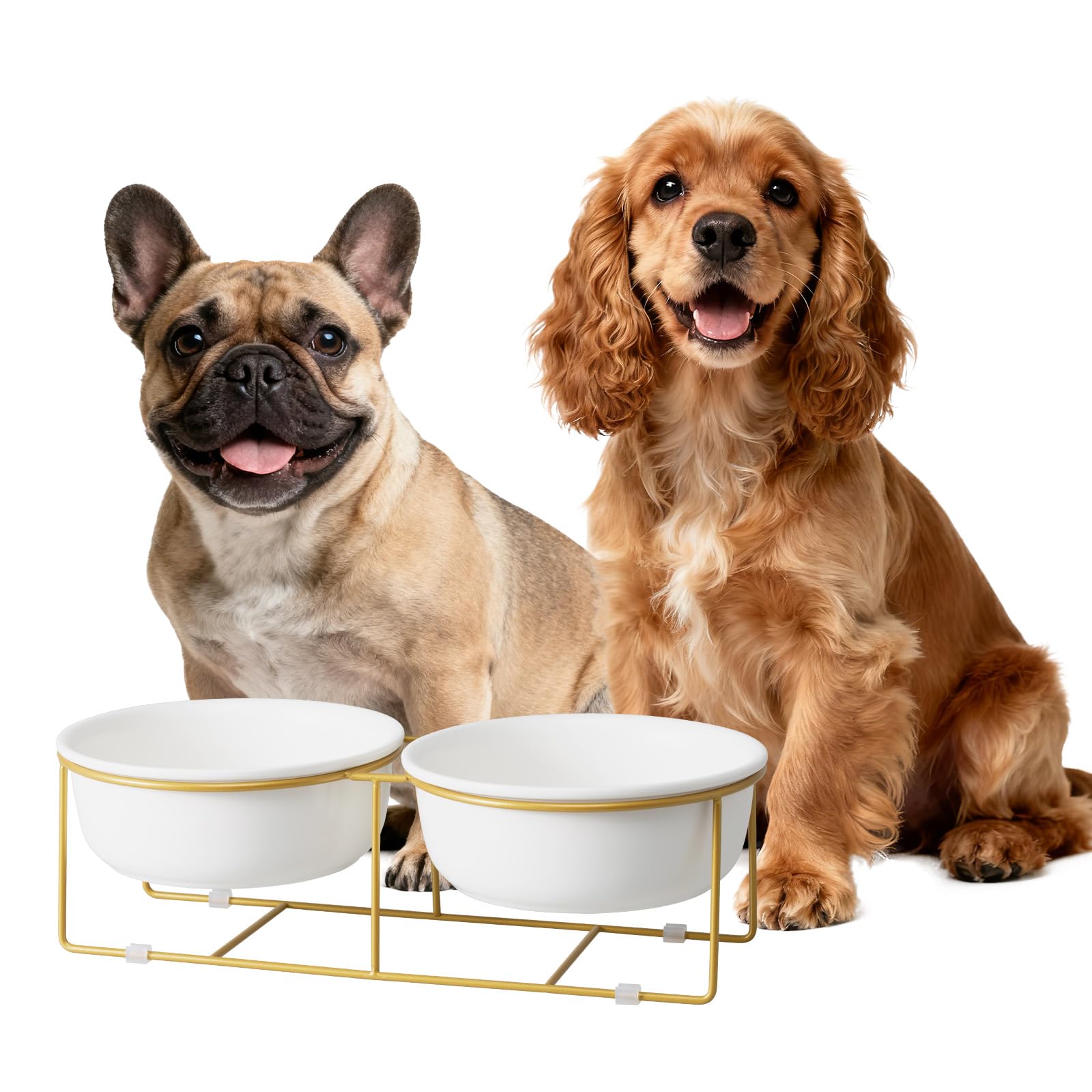 Erhöhtes Hundenapf-Set aus Keramik mit Metallständer - Doppelte Fressnäpfe für Kleine bis Mittelgroße Hunde - Ideal für Futter und Wasser - Je 600 ml / 320 g - Weiß