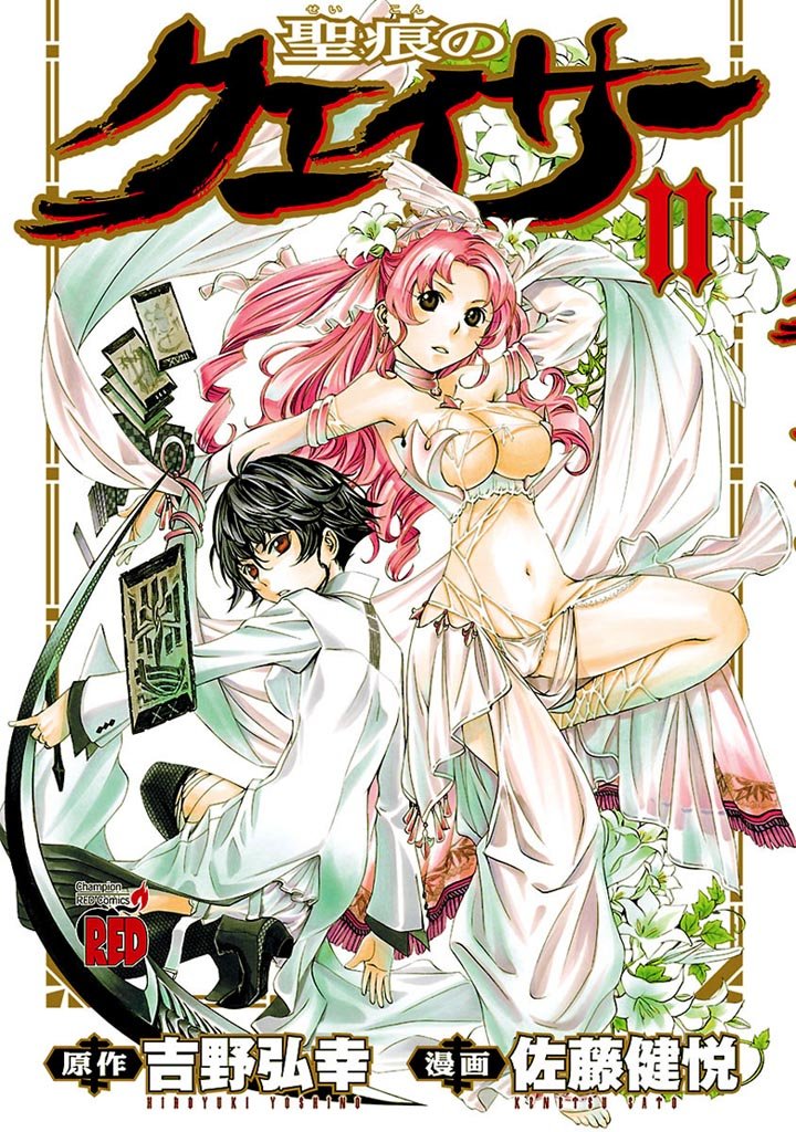 聖痕のクェイサー 11-6174058