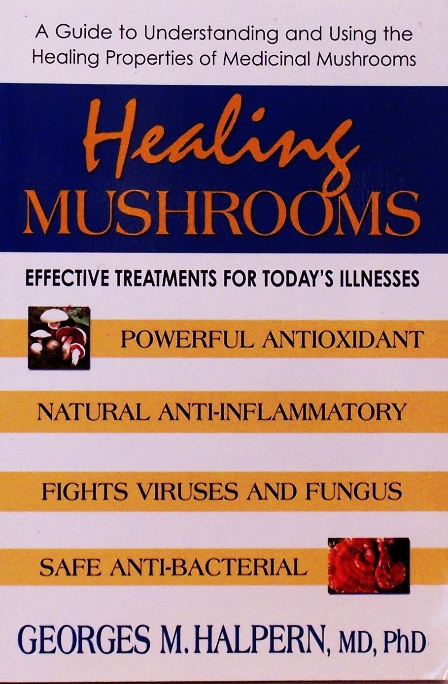 Healing Mushrooms A Guide to Understanding and Using the Healing