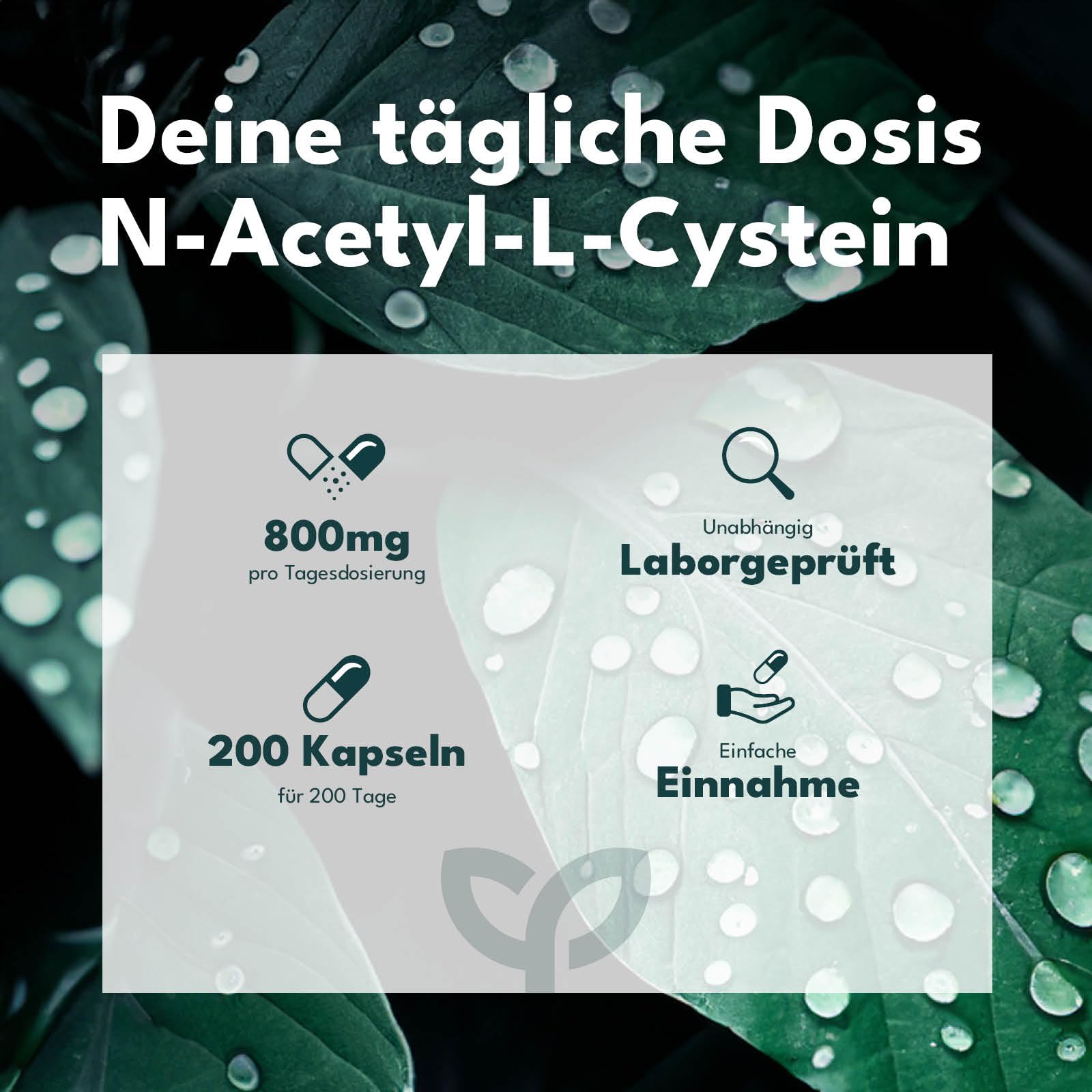 SOLVISAN - NAC 800 mg N-Acetyl-L-Cystein Kapseln - 200 Kapseln - In Deutschland produziert - Vegan, Laborgeprüft und ohne Zusatzstoffe