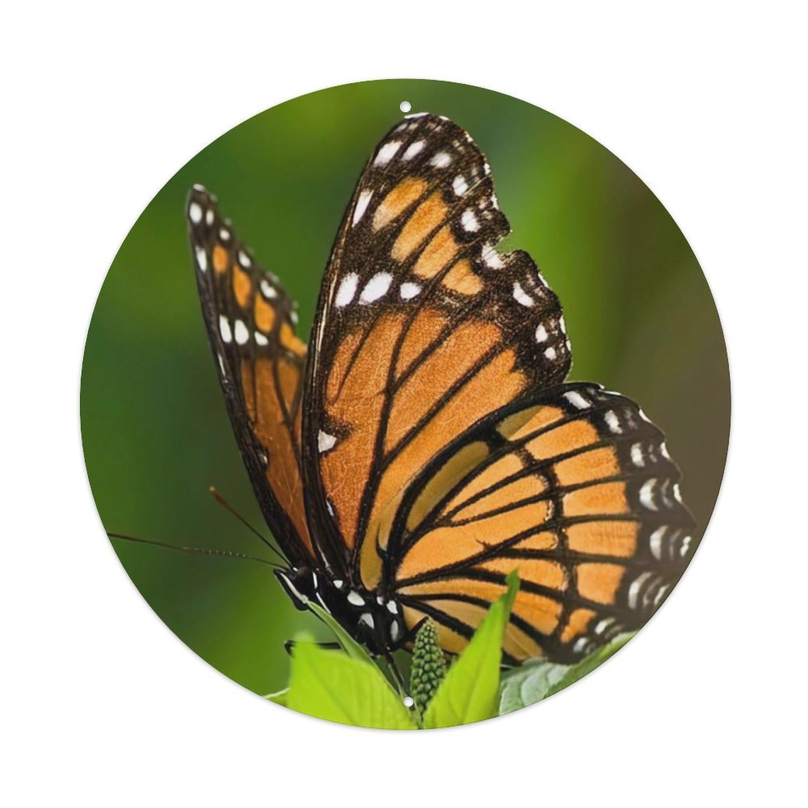 Animals Insects Monarch Butterfly Vintage Metal Tin Sign Plaque Wall Decor for Cafe, Club Bar, Office, Garden Metal Poster 8x8Inch