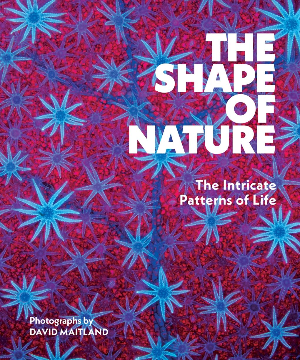 The Shape of Nature: Intricate Patterns of Life