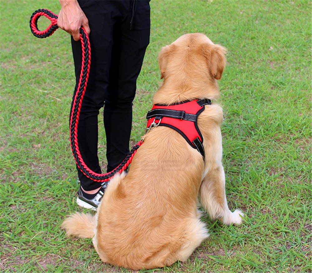 Pettorina per Cani,Regolabile e Sgancio Rapido con Fibbia di