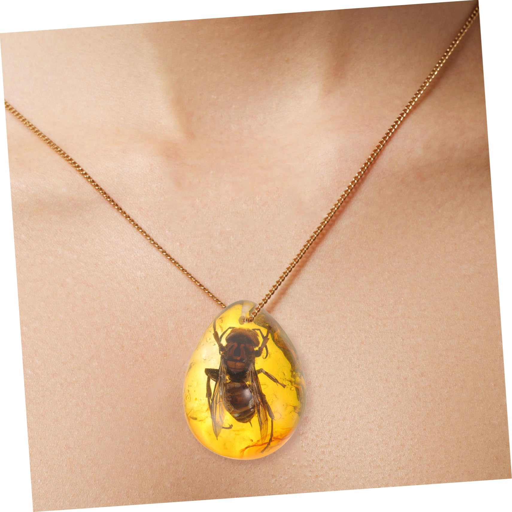 TOYANDONA 15pezzi Insetti Ambra Naturale Decorazione Ambra Con Specimen Di Insetti Farfalla Scorpione Ape Ciondolo Unico Per Appassionati Decorazioni Fai Te