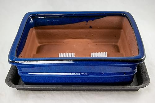 Miniatura 1 de Calibonsai Maceta rectangular para bonsái, cactus y suculentas, 25 x 20 x 8 x 8 pulgadas, bandeja + malla, esmaltada azul oscuro