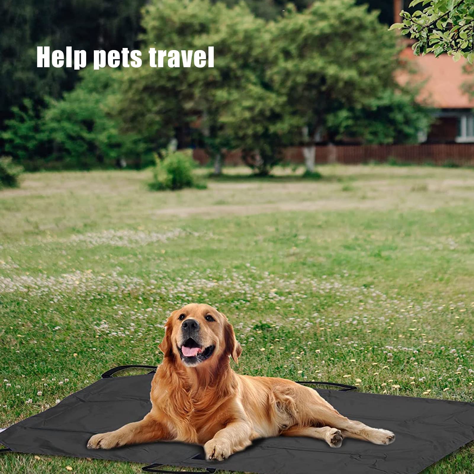 Civière De Transport Pour Chiens, Transporteur De Sauvetage D'urgence Pour Animaux Avec Sangle De Sécurité, Feuille De Glissement D'aide, Avec Sangle De Sécurité Pour Garder Votre Animal En Sécurité