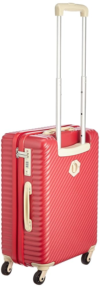 すーさん専用　HaNT ハント ace エース 34L スーツケース アネモネ すーさん専用 HaNT ハント ace エース 34L スーツケース アネモネ