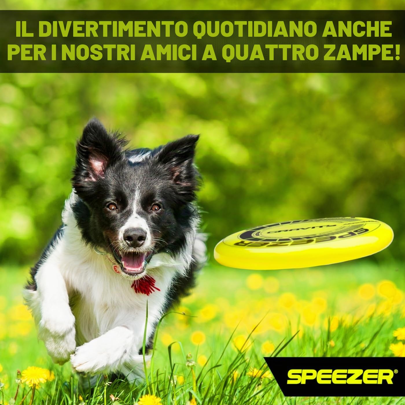 SPEEZER Gravity Frisbee 175 g – Disco da lancio professionale giallo neon per bambini adulti – Ultimate Flying Disc giocattolo da spiaggia