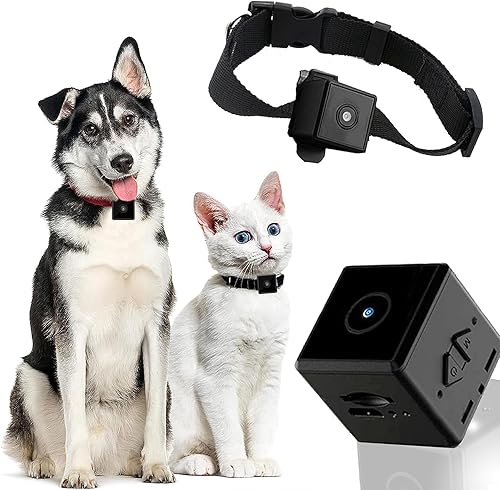 DAIFAC No necesita WiFi Cámara de cuello para mascotas y cámara de collar de gato con grabaciones de video, suministros para mascotas, mini cámara