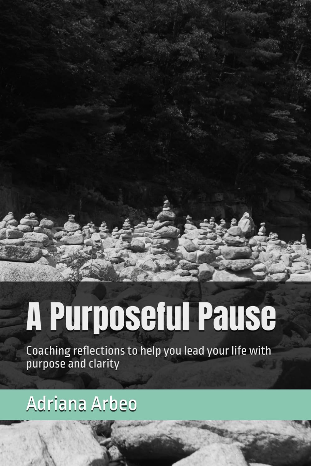 A Purposeful Pause: Coaching reflections to help you lead your life with purpose and clarity