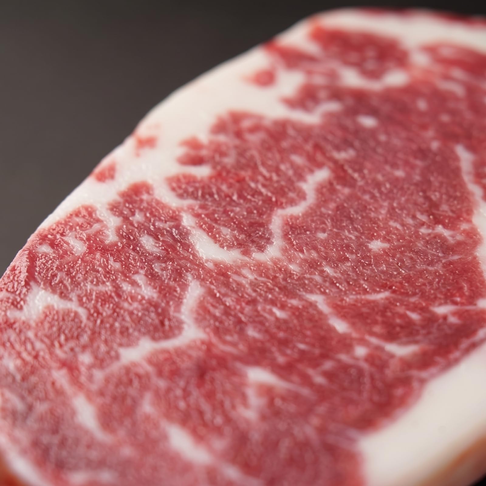 Steak Factice Léger Modèle an, Style to 2