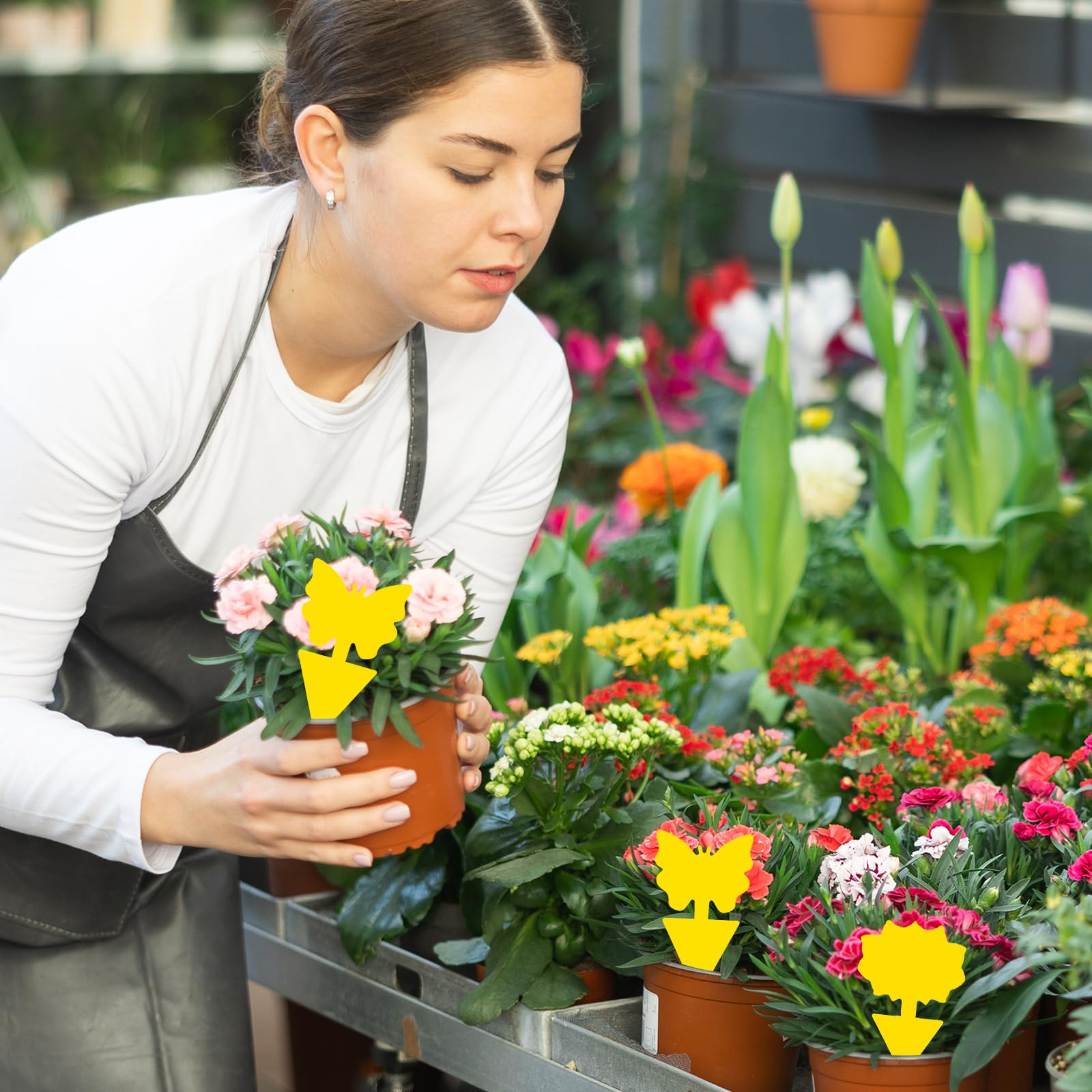 Trampas para moscas de la fruta, paquete de 60 trampas amarillas, trampas para mosquitos de hongos, calcomanías para moscas de plantas para uso en interiores y exteriores para proteger la planta