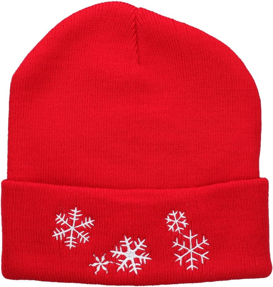 Snowflakes Embroidered Long Beanie