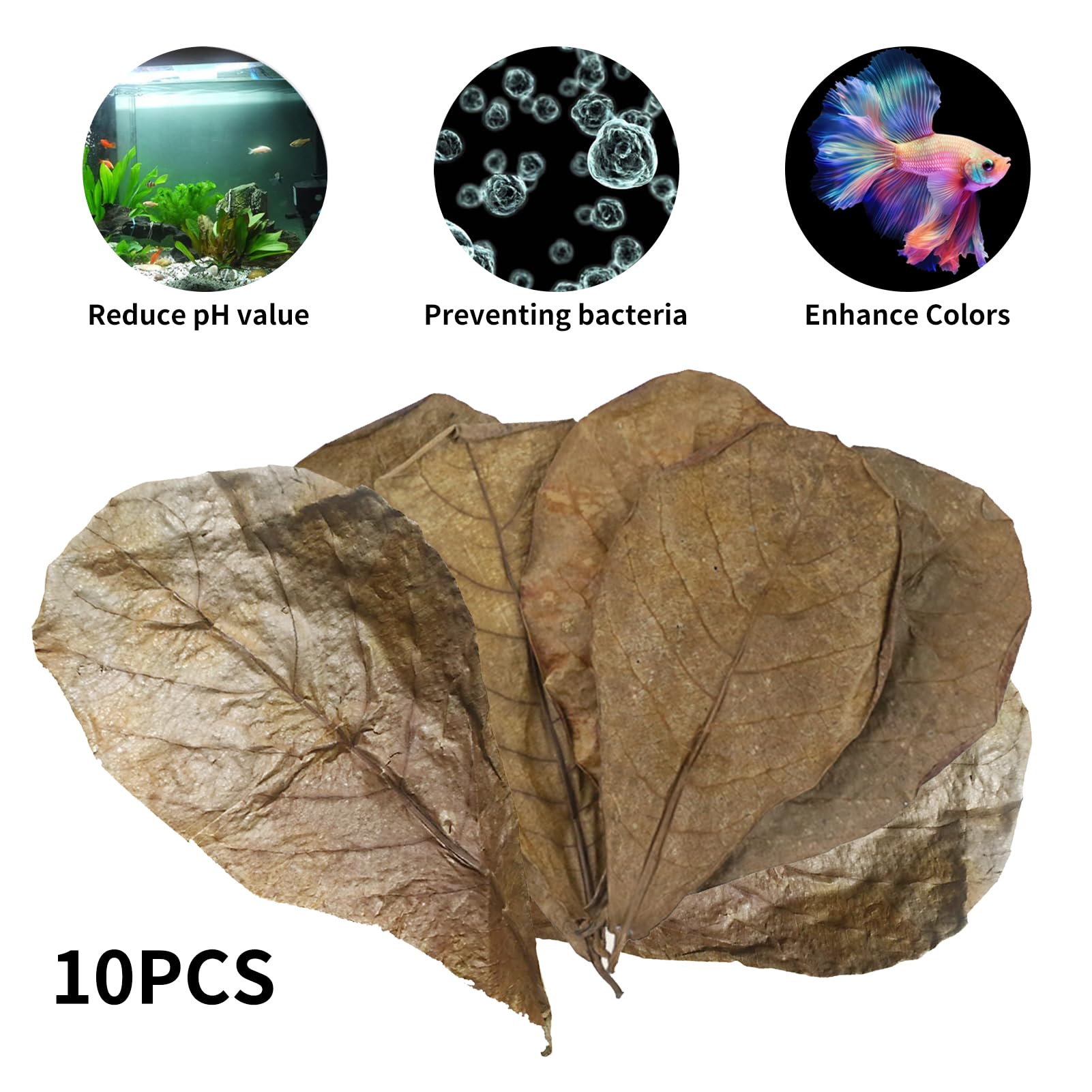 10 Pack Indian Almond Leaves for Betta Fish Tank Water Treatment Catappa Leaves Reduce Stress shrimp aquarium care Lower pH for Aquarium Fish Tank Use - Image 2
