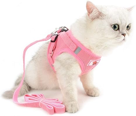 No pull cat harness Clearance