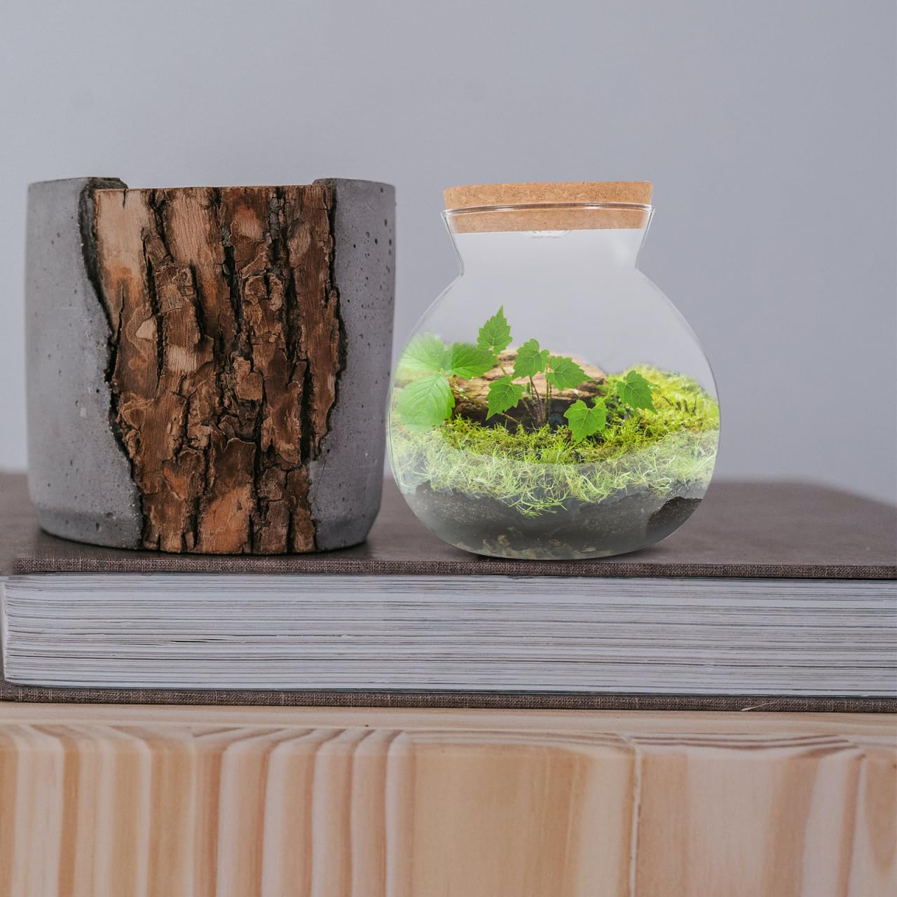 Sughero Micro Paesaggio Bottiglia Ecologica Vetro Chiaro Pianta Terrario Contenitore Pesce Serbatoio Rotondo Vetro Acquario Palla Notte Luci