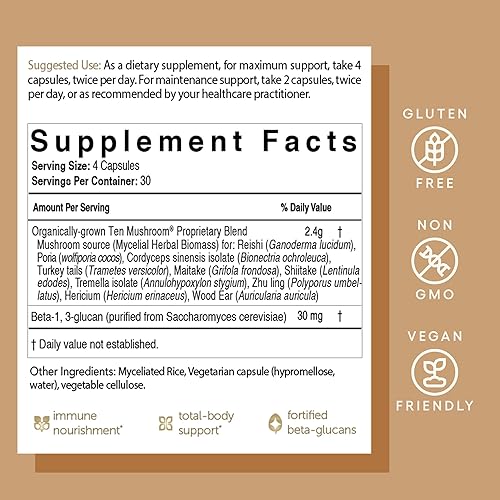 Miniatura 6 de EcoNugenics Ten Mushroom Supplement 120 cápsulas  Complejo de hongos medicinales y apoyo del sistema inmunológico  Reishi, melena de león,