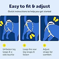 Vista 6 de PetSafe CareLift Rear Support Harness - Senior & Disabled Dog Rear Mobility Support - Easy-Fitting, Breathable Belly Straps with Lifting Aid Handle