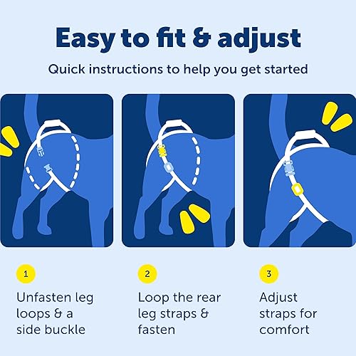 Miniatura 6 de PetSafe CareLift Rear Support Harness - Senior & Disabled Dog Rear Mobility Support - Easy-Fitting, Breathable Belly Straps with Lifting Aid Handle