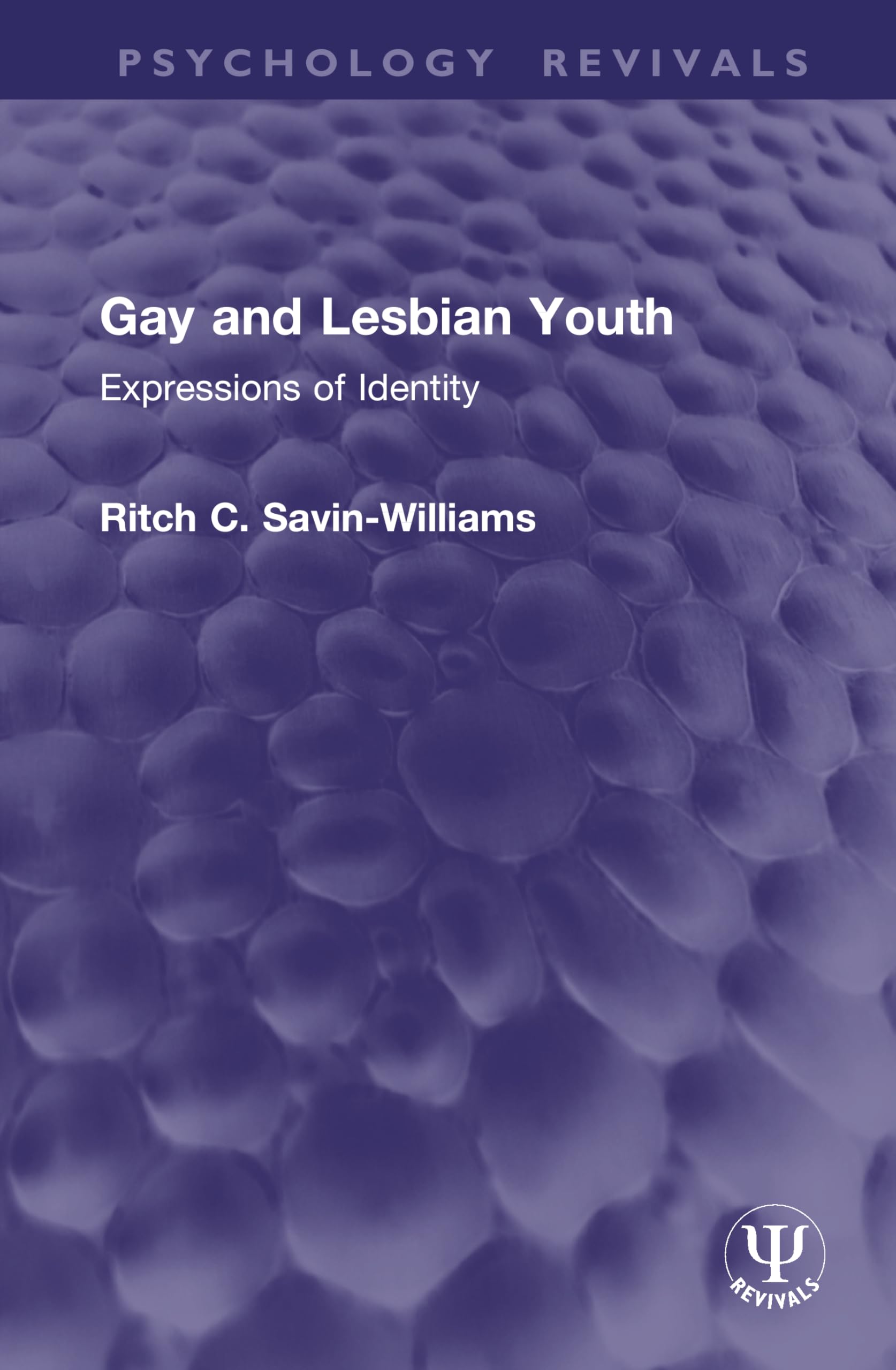 Gay and Lesbian Youth: Expressions of Identity (Psychology Revivals)