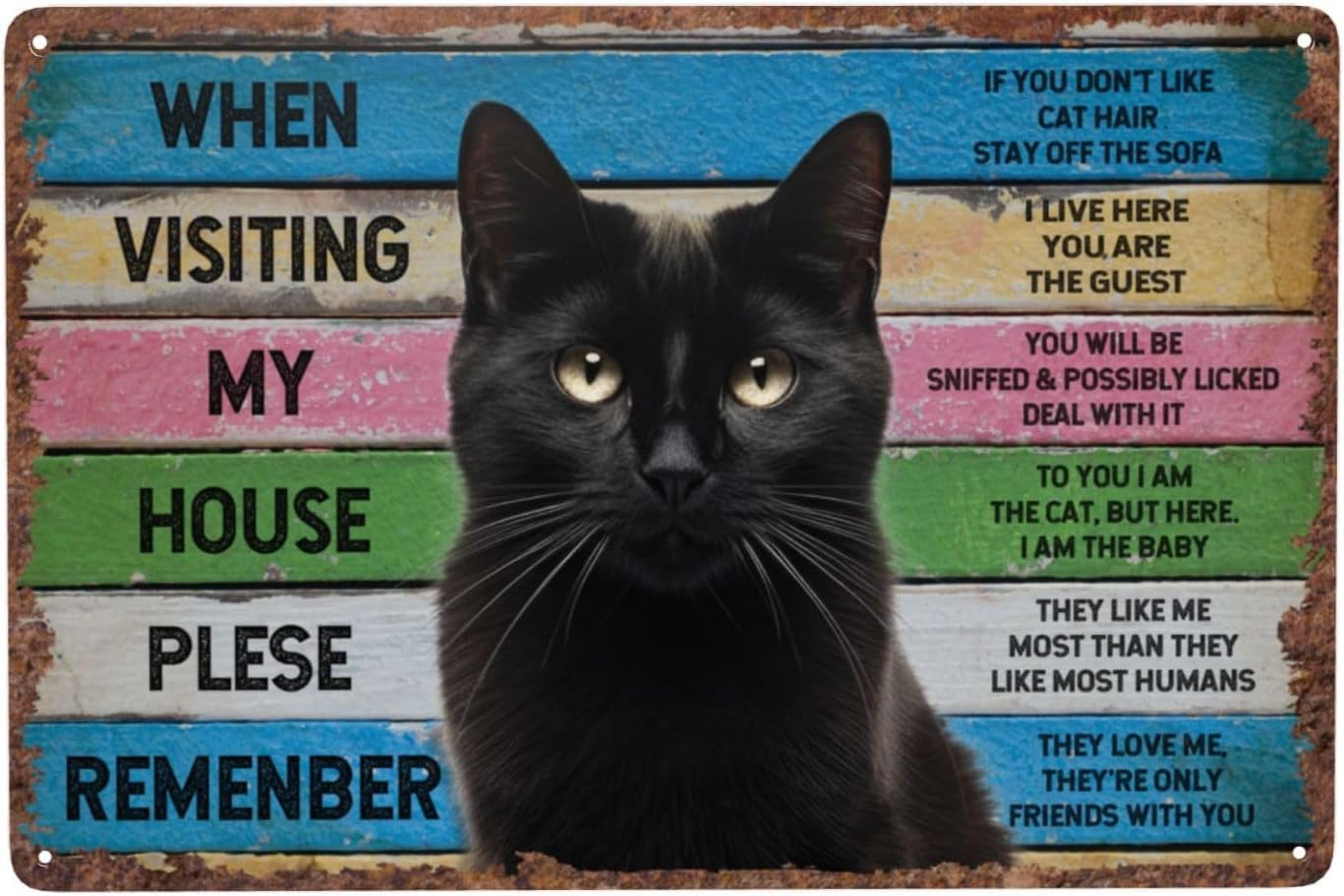 Vintage Metal Tin Sign Funny Black Cat Rules Sign When Visiting My House Please Remember Signs Black Cat Apartment Wall Decor Poster for Room Home Kitchen office 12x16 Inch