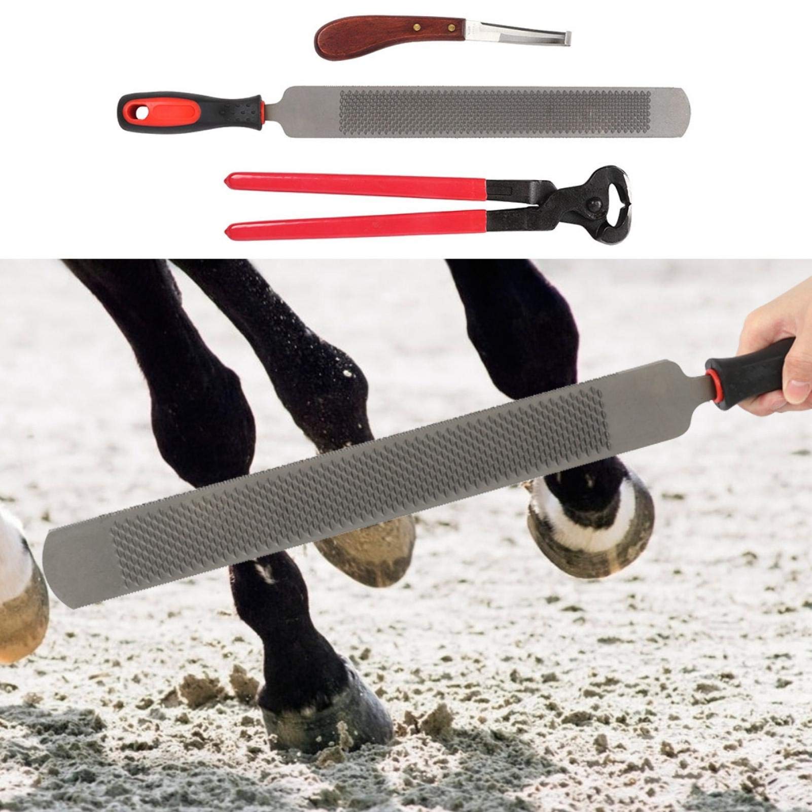 Kadimendium Herramientas de herrador Herramientas Profesionales de Corte de Cascos de Caballos de Metal adecuadas para el Corte de Cascos para Caballos/burros Juego de cortadores