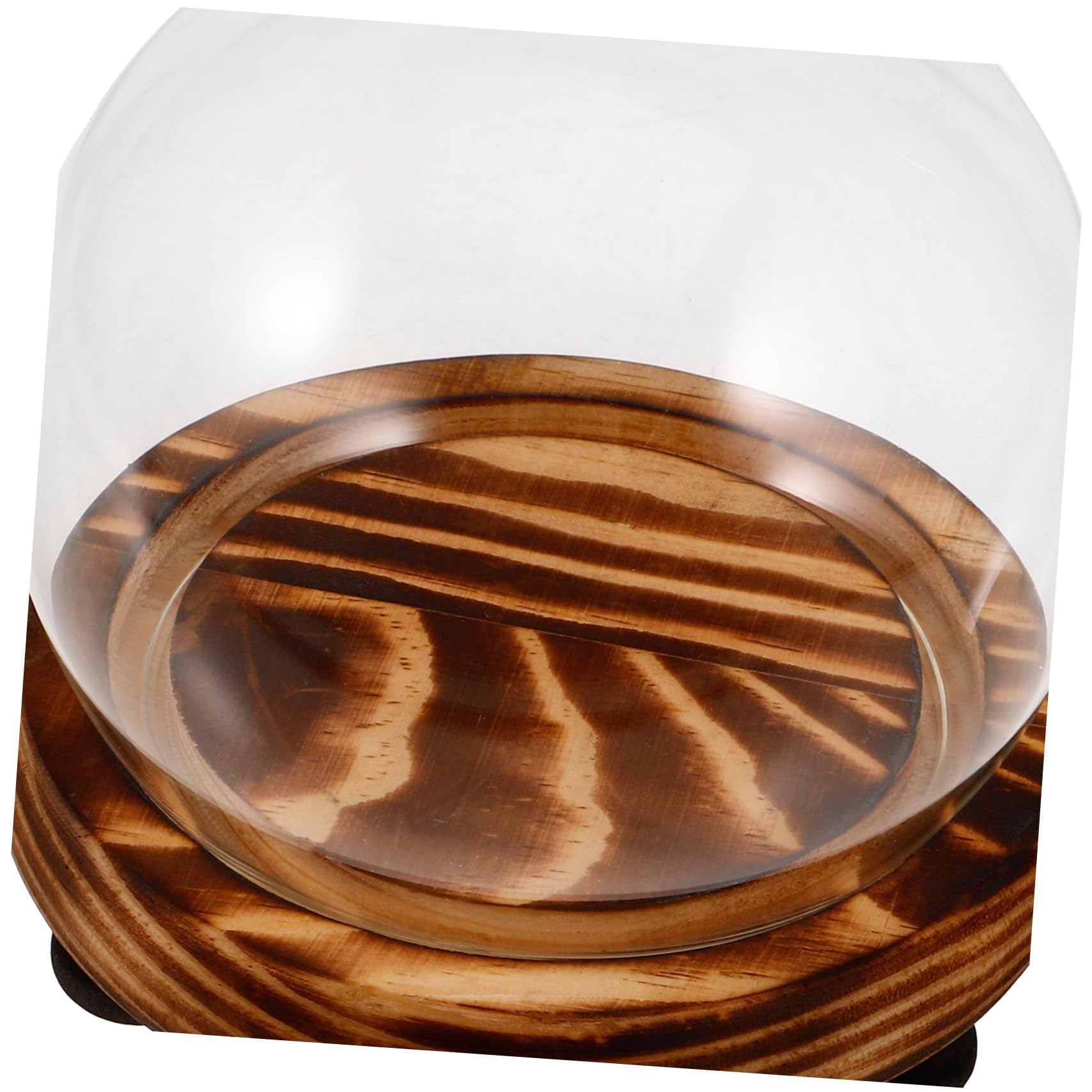 SOLUSTRE Glass Cover Ornaments Dome Display Case for Preserved Flowers Cloche Base Wooden St