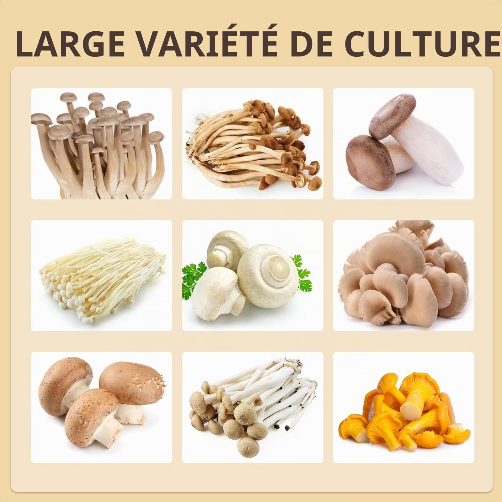 Boîte de culture de champignons avec affichage de la température et de l'humidité, kit de culture de champignons intelligent monotub, tente de culture de champignons d'intérieur avec lumière