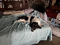 Review Image by Amazon Customer Amazon Customer