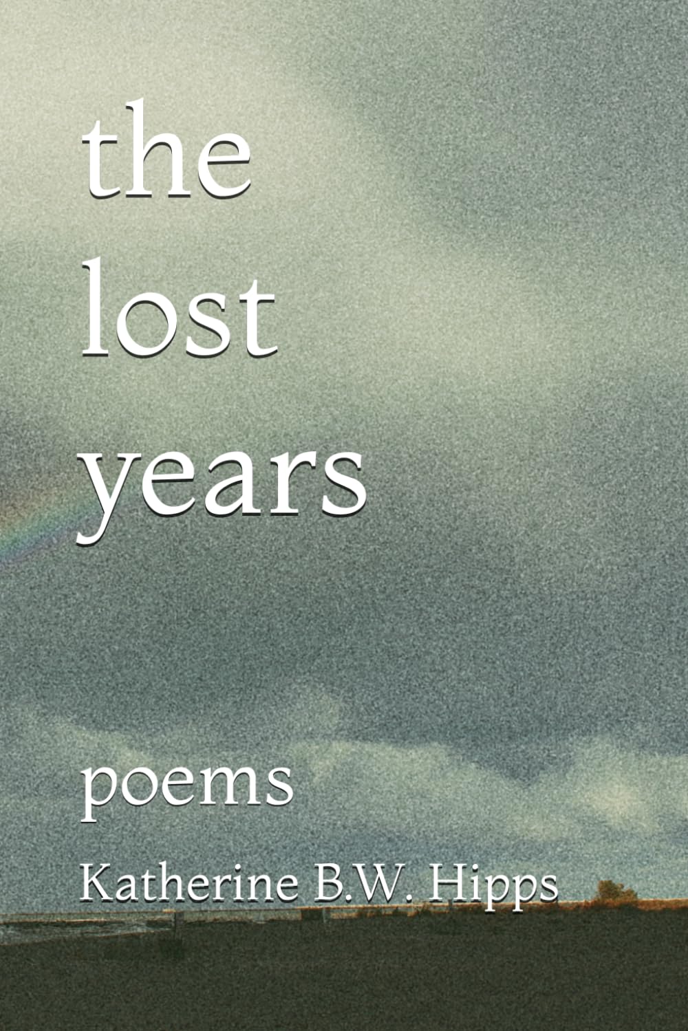 the lost years: poems