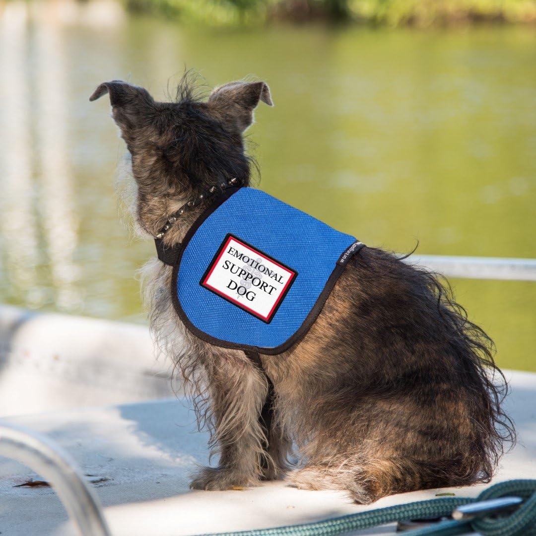 Emotional Support Dog Vest - Complete with two patches (RED, 20-30 Pounds)