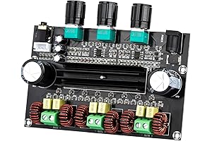 TPA3116D2 2.1 Digital Power Amplifier Board for Hiss Clean Audio System