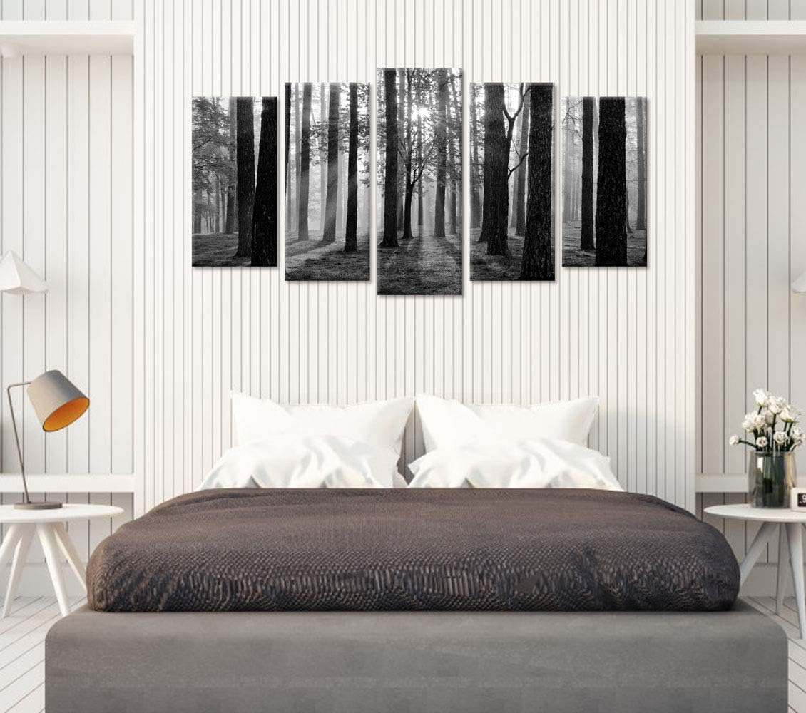 Visual Art Decor Large 5 Pieces Black and White Sunshine Foggy Forest Landscape Canvas Prints Trees Wall Decoration Framed and Stretched Painiting for Living Room Office Artwork