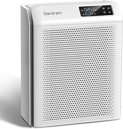 Purificador de aire Sanderm para dormitorio y hogar