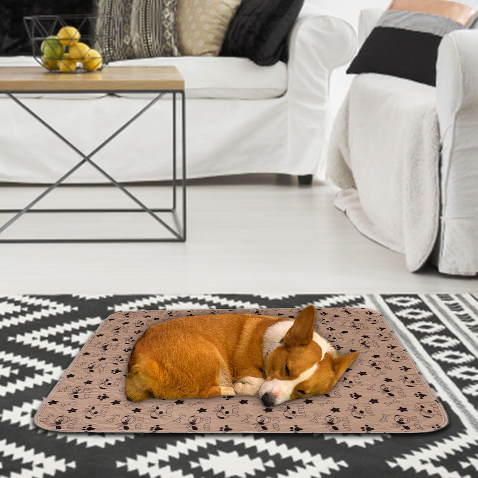 Alèses De Dressage Pour Chiens,Lavable Réutilisable Anti-Dérapant - Protection Imperméable Chien | Pour Soin Quotidien, Voyage, Hygiène Intérieure, Lits Maison, Toilettage Et Sol