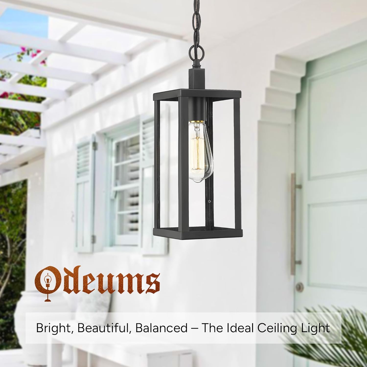 Outdoor Pendant Lantern, Exterior Hanging Light Fixture for Porch, Hallway in Black Finish With Clear Glass