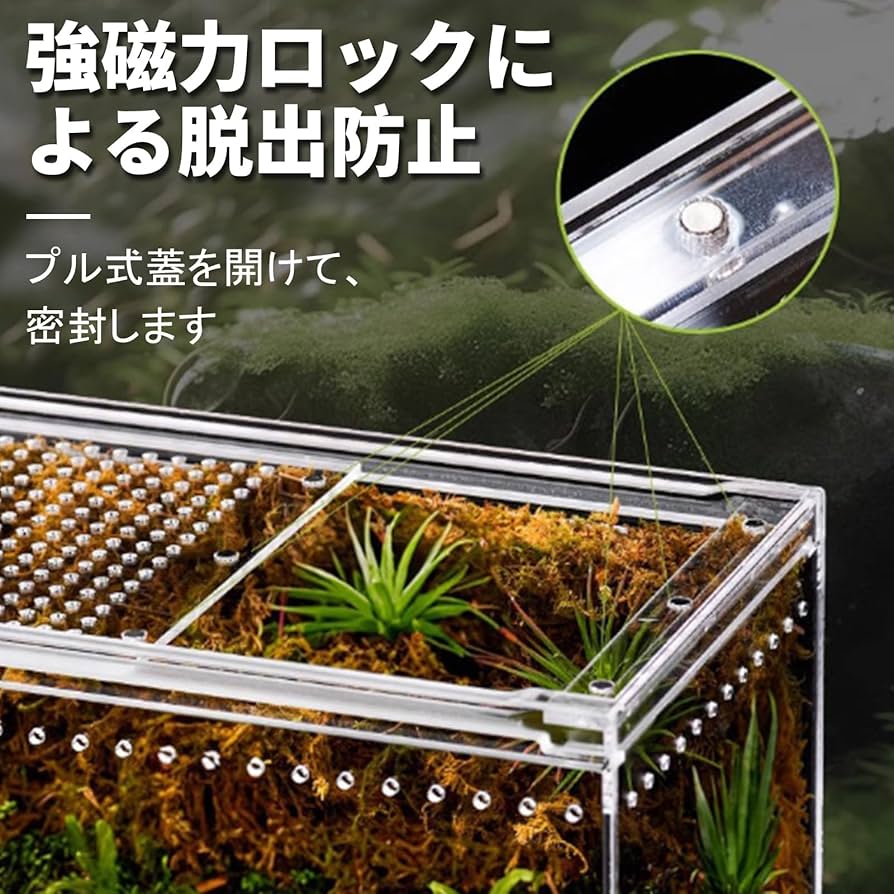 アクリル製爬虫類飼育ケース 楽天市場】アクリル 爬虫類 飼育ケース 【Sサイズ】 昆虫飼育