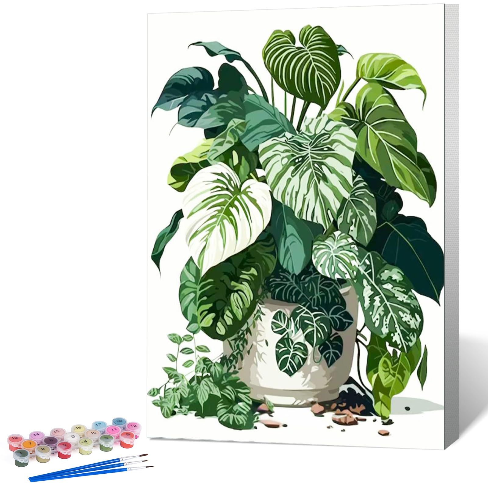 Paint by Numbers for Adults with Frame, Tropical Plant Design, 8x12 Inch