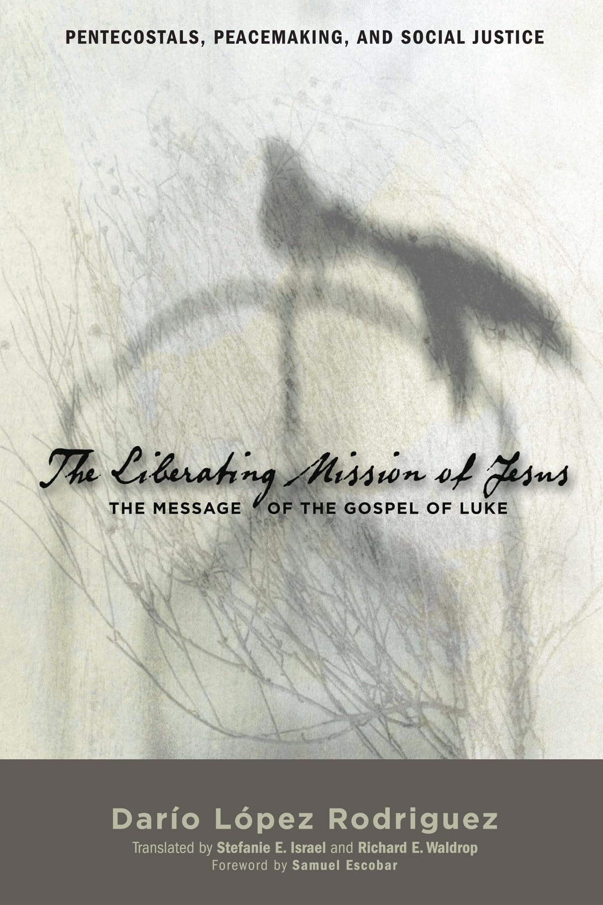 The Liberating Mission of Jesus: The Message of the Gospel of Luke: 6 (Pentecostals, Peacemaking, and Social Justice)