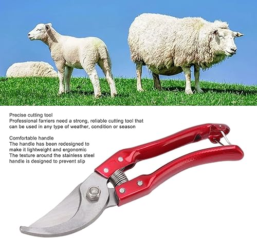 Miniatura 4 de Recortadoras de pezuñas de cabra antideslizantes, tijeras de pezuña de oveja, recortadoras de pezuñas de cabra de acero inoxidable, tijeras de uñas