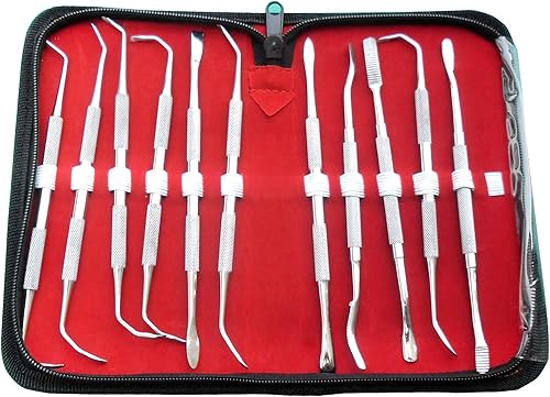 GS 11 PCS sinus Lift Instrumentos Set Dental Odontología Doble Extremo Mejor Calidad