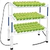 Hydroponics Growing System Kit for Vegetables,Flowers Fruits and Herbs, with 108 Plant Sites, Suitable for Indoor and Outdoor (Upgraded Version)