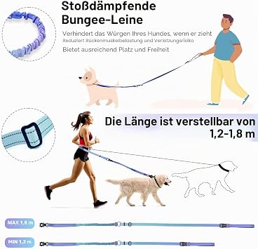 Heavy Duty Dog Leash with Quick Release Carabiner and Adjustable Bungee Pull Strap for Walking and Training with Car Seat Belt 4-6 FT Purple